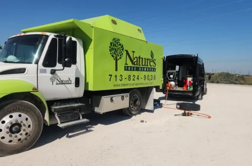 WhatsApp Image 2025-11-15 at 16.14.16_08e24518